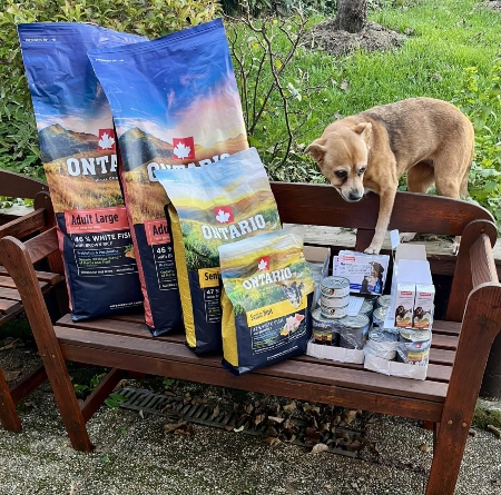 Psí senioři v nouzi, z.s.